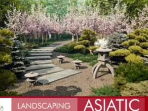 Landscaping Asiatic
