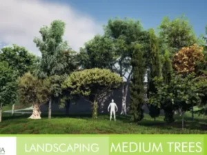 Landscaping Medium Trees Vol 1