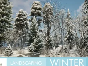 Landscaping Winter