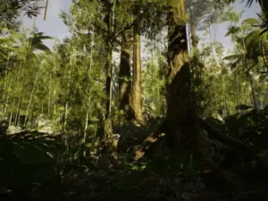 Low Poly Rainforest Pack