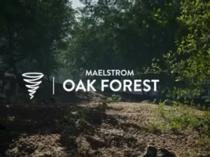 MAE Oak Forest