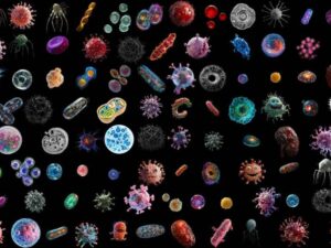 Microbiology Virus Cell Bacteria Icons