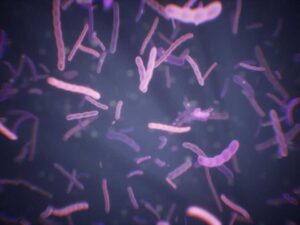 Microscopic Organisms