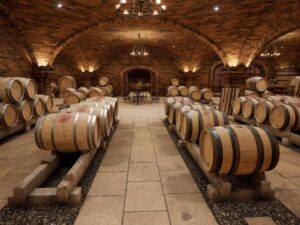 Modular Modern Wine Cellar