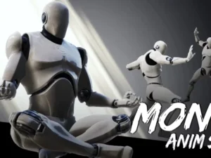 Monk AnimSet