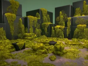 Mossy piles