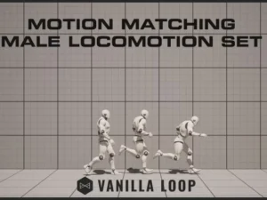 Motion Matching Male Locomotion Set