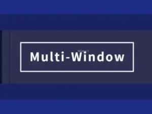 Multi window