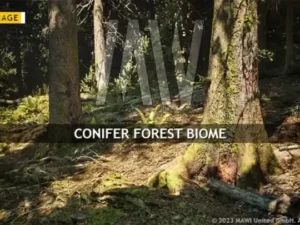 MW Conifer Forest Trees Biome