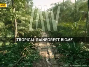MW Tropical Rainforest Trees Biome