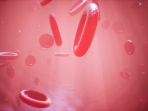 Niagara Virus and Bacteria