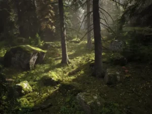 Nordic Conifer Biome