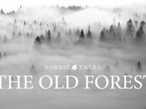 Nordic Tales The Old Forest