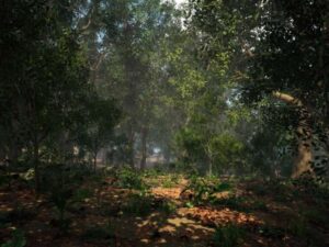 Oak Trees Forest Biome