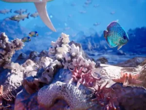 Ocean Floor Pack High Quality Environment
