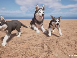 Puppy Husky