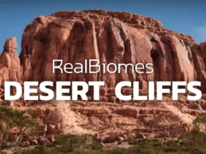 RB RealBiomes Desert Cliffs Biome Monument Valley Trees Grass Forest