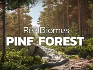 RealBiomes Scots Pine Forest