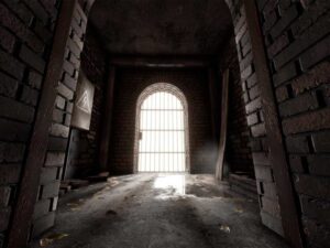 Root Cellar