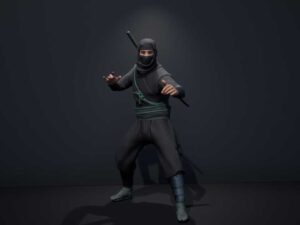 Samurai Ninja