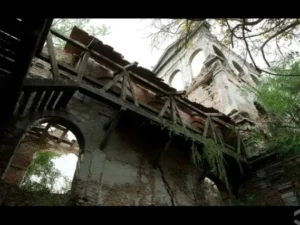 SCANS Abandoned Manor Ruins in the Dark Wood