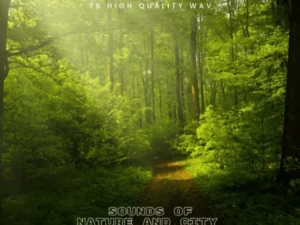Sound Of Nature and City SFX Pack