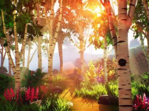 Spring Environment
