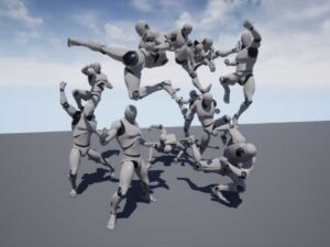 Stylish Action Combat Animation Pack