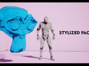 STYLIZED PACK