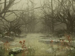 Swamp