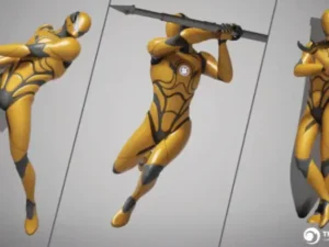 Sword and Spear Animation