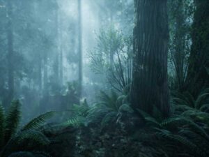 The Forest