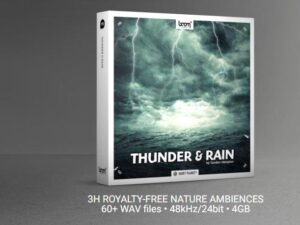 THUNDER RAIN