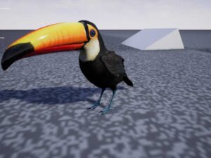 Toucan