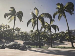 Tropical Island Environment