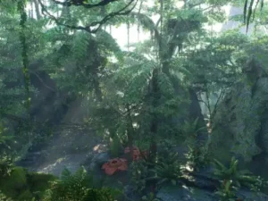 Tropical Jungle Pack