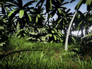 Tropical Nature 50 Models Pack