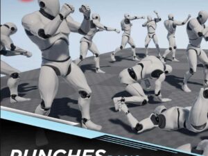 UE4 PUNCH BASIC