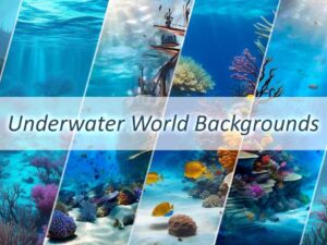 Underwater World Background Set