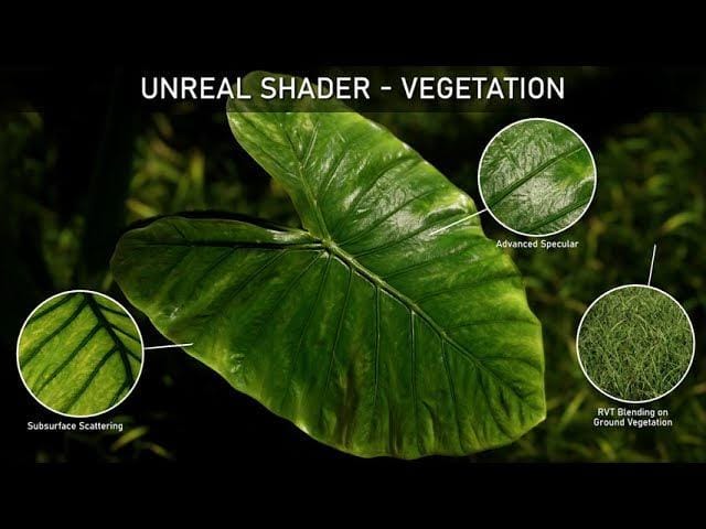 Unreal Shader Vegetation