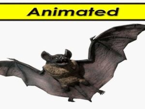 Vampire Dark Bat