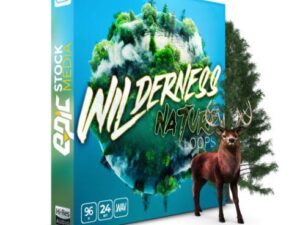 Wilderness Nature