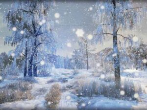 Winter Nature